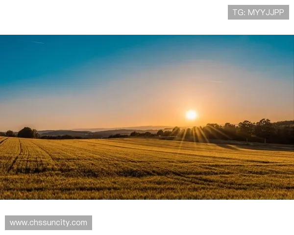 太阳app免费下载官方网站官方正版下载入口，保障用户权益的安全平台