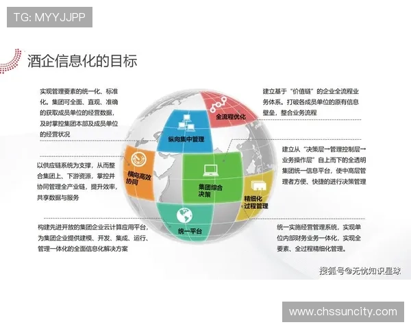 太阳城公司在国际市场中的扩展策略与合作前景