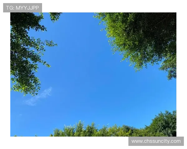 太阳成app官网官方入口及最新资讯,帮助用户快速了解太阳成app的最新动态 太阳成app官网官方入口及最新资讯,帮助用户快速了解太阳成app的最新动态