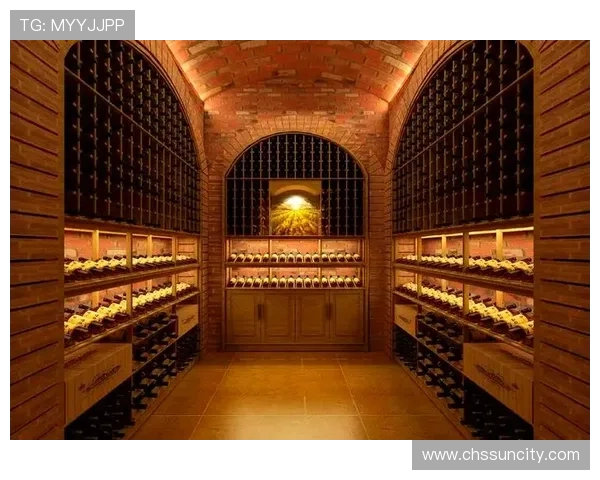 太阳贵宾酒：打造尊贵品味的必备佳酿，体验非凡的奢华享受与品质保证